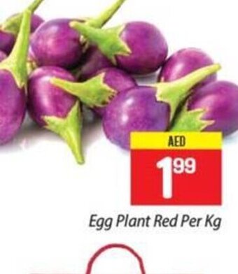 City Retail Supermarket Egg plant red per kg offer