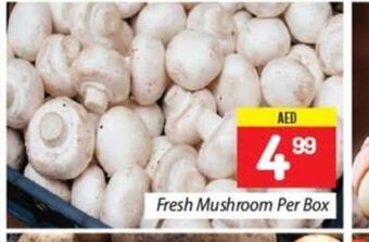 City Retail Supermarket Fresh mushroom per box offer