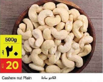 Cashew nut Plain
