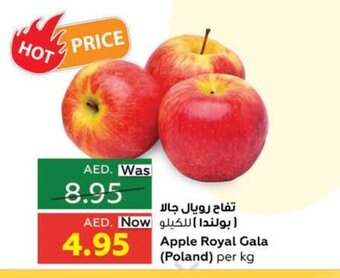 Al Ain Co-op Apple royal gala (poland) per kg offer