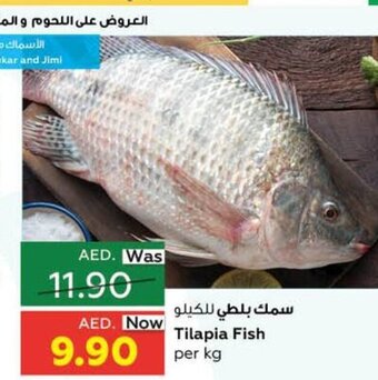 Al Ain Co-op Tilapia fish per kg offer