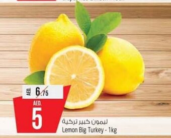 Safari Hypermarket Lemon big turkey - 1kg offer