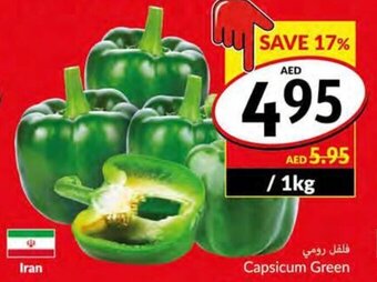 Viva Capsicum Green offer