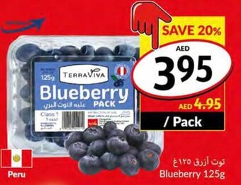 Viva Blueberry 125g offer