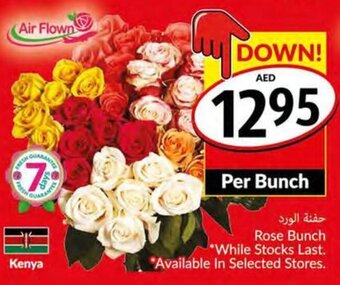 Viva Rose Bunch offer