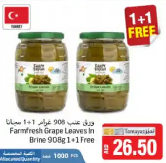 Union Coop Farmfresh Grape Leaves in Brine 908g 1+1 Free offer