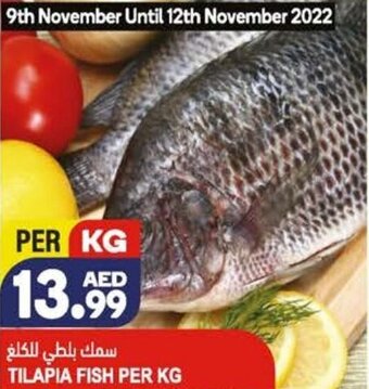 Almaya supermarket Tilapia Fish per kg offer