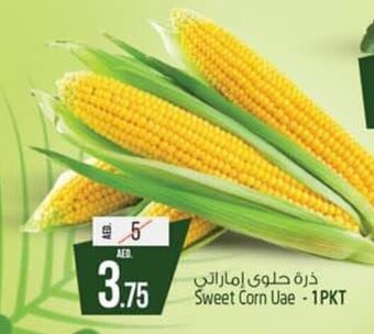 Safari Hypermarket Sweet Corn Uae- 1pkt offer