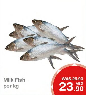 Choithrams Milk Fish per kg offer