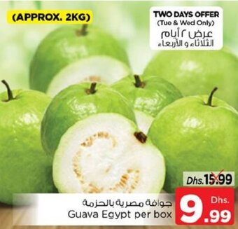 Nesto Guava Egypt per box offer