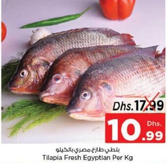 Nesto Tilapia Fresh Egyptian Per kg offer