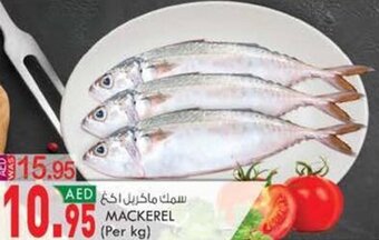 KM Trading Mackerel (per kg) offer