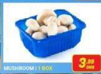 PARCO Hypermarket Mushroom 1Box offer