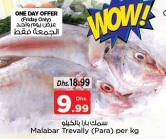 Nesto Malabar Trevally (Para) per kg offer