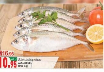 KM Trading Mackerel offer