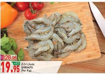 KM Trading Shrimps offer