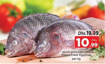 Nesto Tilapia Fresh Egyptian per kg offer