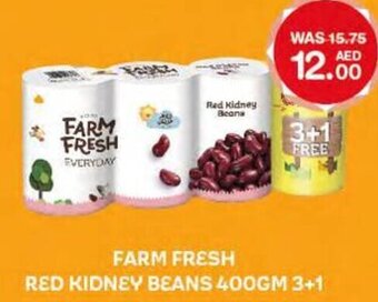 Choithrams Farm Fresh Red Kidney Beans 400gm 3 + 1 offer
