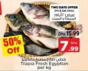 Nesto Tilapia Fresh Egyptian per kg offer