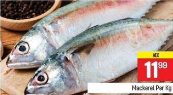 City Retail Supermarket Mackerel per kg offer
