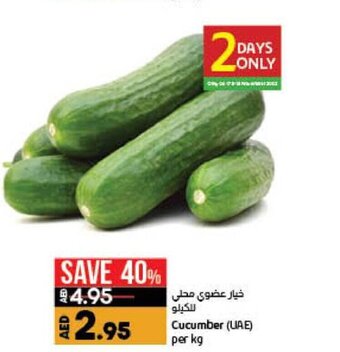 Lulu Hypermarket Cucumber UAE per kg offer