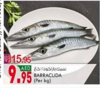 KM Trading Barracuda offer
