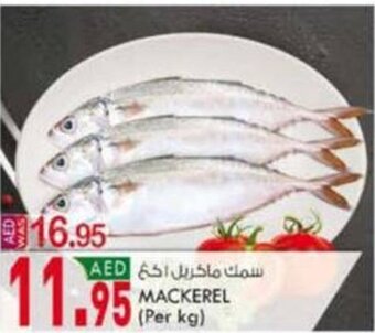 KM Trading Mackerel offer