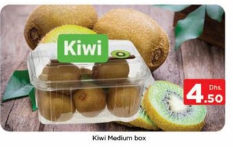 Nesto Kiwi Medium Box offer