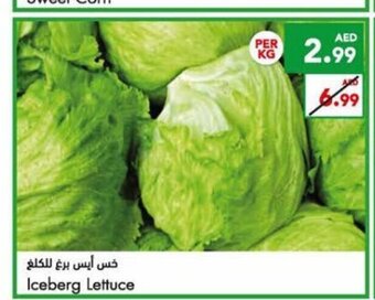 Almaya supermarket Iceberg lettuce per kg offer