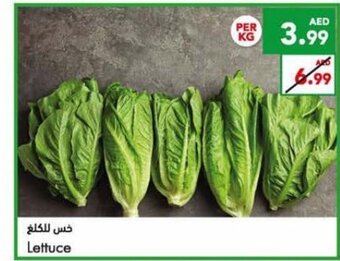 Almaya supermarket Lettuce per kg offer