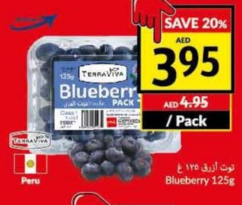 Viva Blueberry 125g offer