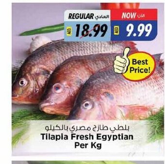 Last Chance Tilapia fresh per kg offer
