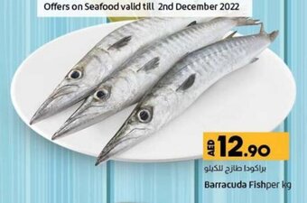 Lulu Hypermarket Barracuda Fish per kg offer