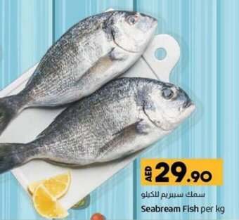 Lulu Hypermarket Seabream Fish per kg offer
