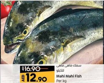 Lulu Hypermarket Mahi Mahi Fish Per Kg offer
