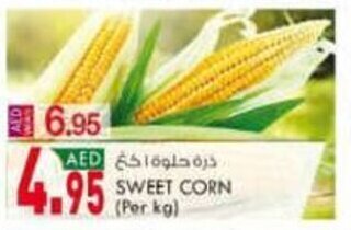 KM Trading Sweet corn per kg offer