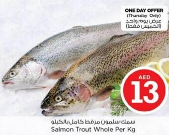 Nesto Salmon Trout Whole per kg offer