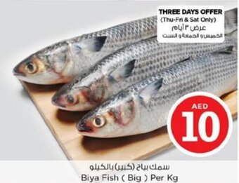 Nesto Biya Fish (Big) per kg offer
