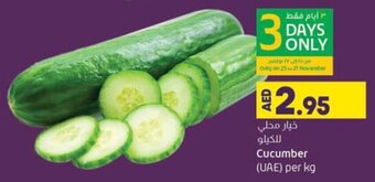 Lulu Hypermarket Cucumber (UAE) Per kg offer