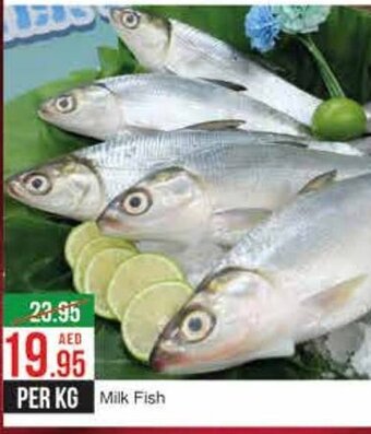 West Zone Supermarket Milk Fish offer