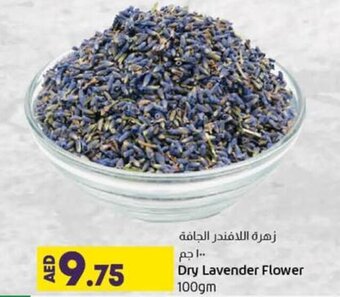 Lulu Hypermarket Dry Lavender Flower 100gm offer