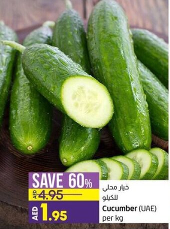 Lulu Hypermarket Cucumber (UAE) per kg offer