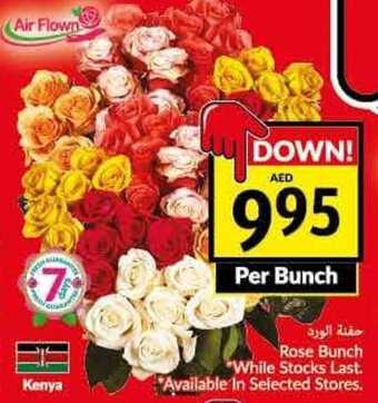 Viva Rose Bunch offer