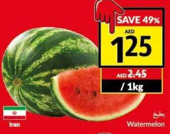 Viva Watermelon offer