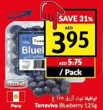 Viva Terraviva Blueberry 125g offer
