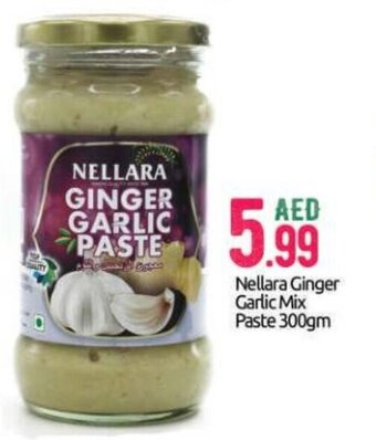 Bigmart Nellara Ginger Garlic Mix Paste 300gm offer