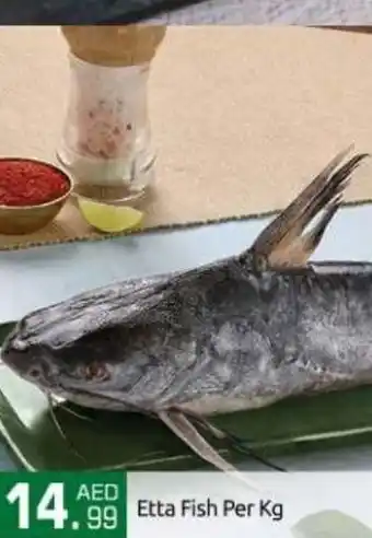 Bigmart Etta Fish Per kg offer