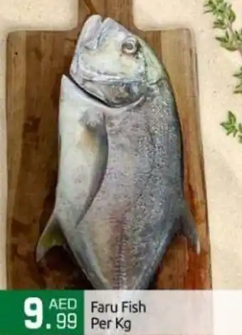 Bigmart Faru Fish per kg offer
