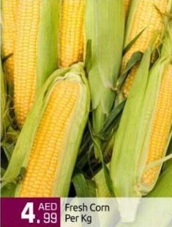 Bigmart Fresh Corn offer