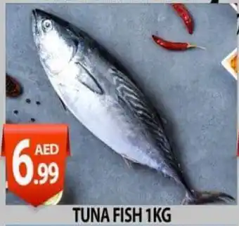 PARCO Hypermarket Tuna Fish 1Kg offer